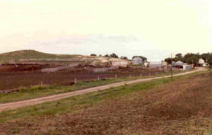Spirit Mound after becoming a feedlot